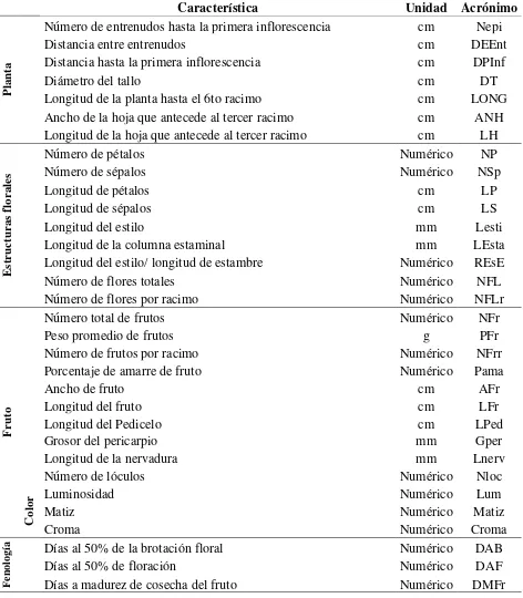 Cuadro 5. Características cuantitativas evaluadas para la evaluación morfológica de poblaciones de jitomate del Centro, Sur y Sureste de México, líneas derivadas y un cultivar comercial