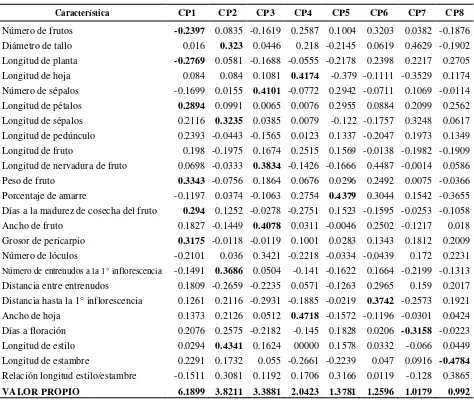 Cuadro 10. Vectores característicos de las 24 características de los primeros ocho componentes principales en 30 poblaciones de jitomate del Centro, Sur y Sureste de México, líneas derivadas y un cultivar comercial