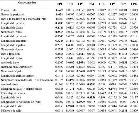 Cuadro 11. Coeficiente de determinación de las 24 características de los primeros ocho componentes principales en 30 poblaciones de jitomate del Centro, Sur y Sureste de México, líneas derivadas y un cultivar comercial