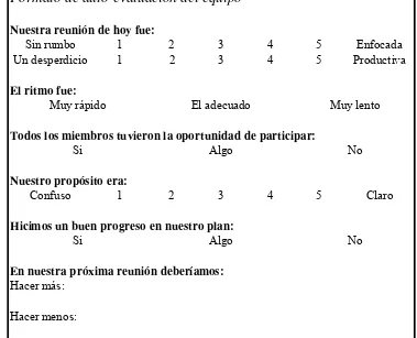 Figura 4.1. Formato de auto-evaluación del equipo Fuente: Snee et al (1998)   