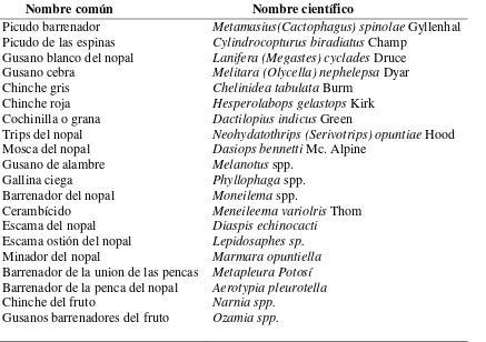 Cuadro 1. Plagas de insectos más frecuentes en el cultivo del nopal (INE 2005 y Mena-