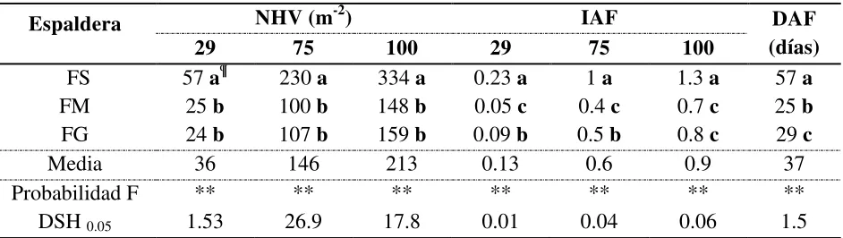 Cuadro 2. Número de hojas verdes (NHV), Índice de área foliar (IAF) y duración del área foliar (DAF) de frijol chino en función del tipo de espaldera