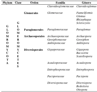 Cuadro 3.2. Clasificación taxonómica y géneros de hongos micorrízicos arbusculares 