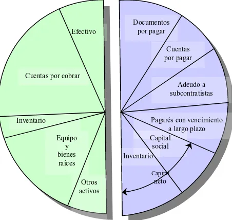 Figura 2.4 Componentes del balance generalLos siguientes tipos de activos se consideran de rápida disponibilidad y, por tanto, líquidos: