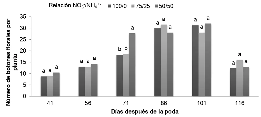 Figura 26. Efecto de la relación NO 3-/NH4+ sobre el número de botones florales por planta de uchuva (Physalis peruviana L.) con origen de rebrote