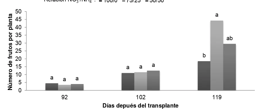 Figura 33. Efecto de la relación NO planta de uchuva (distintas, en cada muestreo, indican diferencias significativas (Tukey 3-/NH4+ sobre el número de frutos cosechados por Physalis peruviana L.) con origen de semilla