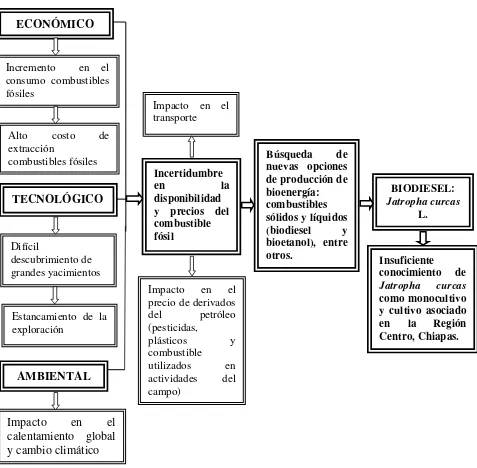 Figura 1. Situación problemática de la investigación: Integración de Jatropha curcas L