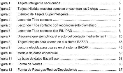 Figura 1 
