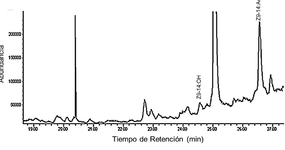 Figura 6. Cromatograma de compuestos obtenidos de la superficie interna de viales.  