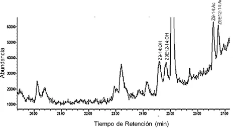 Figura 7. Cromatograma de compuestos procedentes del espacio de cabeza de 2 mL de diclorometano y cuatro glándulas