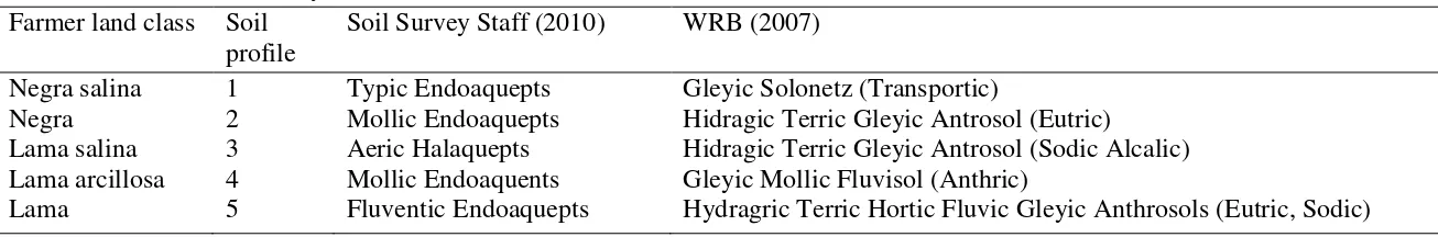 Table 3. Soil classification by WRB and SSS. 