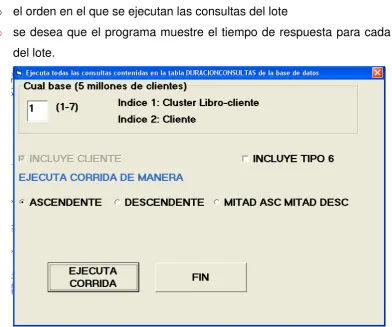 Figura 11. Pantalla para indicar parámetros y forma de ejecución de consultas. 