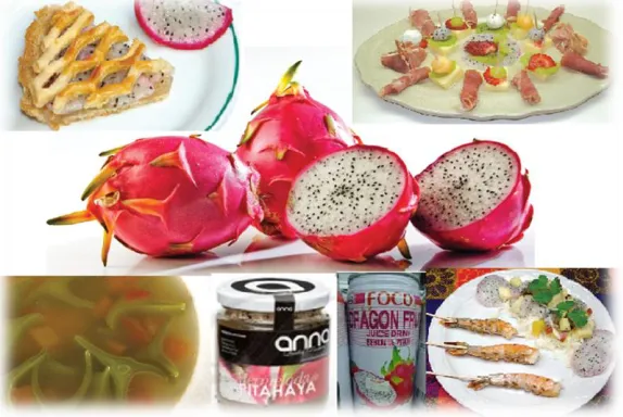 Figura 5. Diversos usos de la pitahaya.  