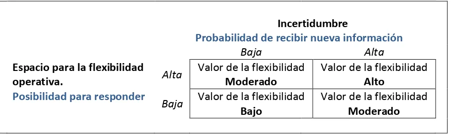 Cuadro 7: Resúmen de la importancia de las opciones reales con respecto a la incertidumbre y a la flexibilidad operativa