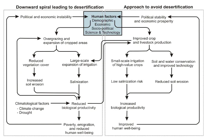 Fig. 1. Flowchart of desertification. (Adapted from Millennium Ecosystem Assessment, 2005) 