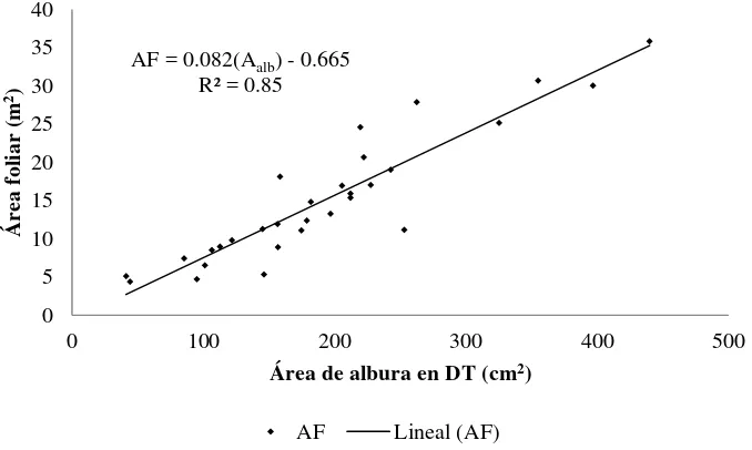 Figura 3.1 Cociente área foliar (AF):área de albura (Aalb) en la sección de diámetro de tocón (DT) 