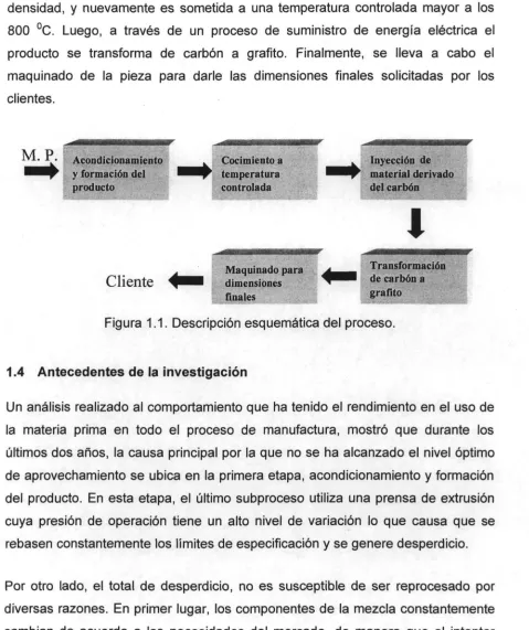 Figura 1.1. Descripción esquemática del proceso.