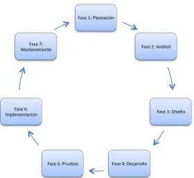 Figura 1-1 Ciclo de Vida del Proyecto. 
