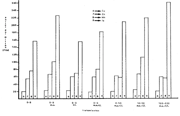 Figura 2- Niveles nutricionales de Cu, Zn Mn y Pe en partes por millón (PPM), contenidos en la hoja de tanate a los 100 días del trasplante de los tratamientos mas significativos