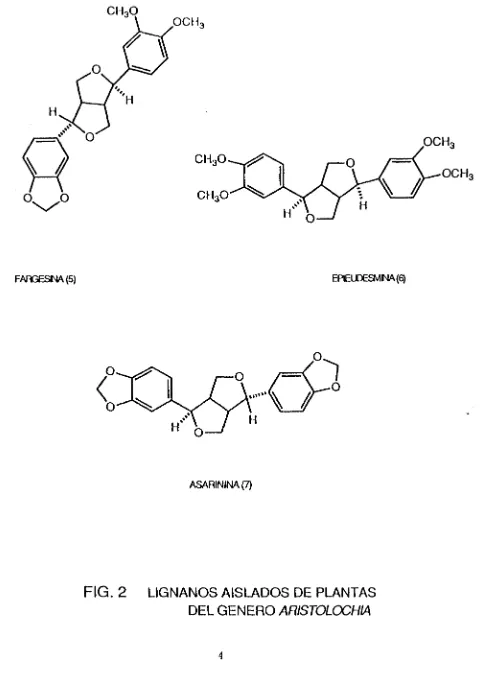 FIG. 2 LIGNANOS AISLADOS DE PLANTASDEL GENERO ARISTOLOCHIA