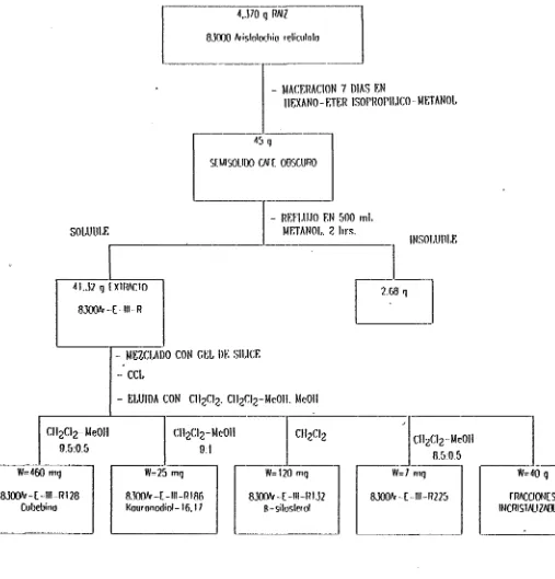 FIG. 15 DIAGRAMA DE FLUJO DE LA OBTENCIÓN DEL EXTRACTO 1:1:DE LA RAÍZ DE 8300 Arislo/ocfiiú rcliai/ala