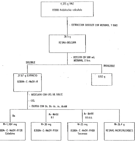 FIG. 16 DIAGRAMA DE FLUJO DE LA OBTENCIÓN DEL EXTRACTOMETANOUCO DE LA RAÍZ DE 8300 Arísiolochia rcücukla