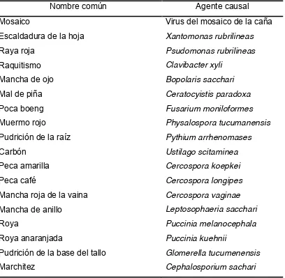 Cuadro 1. Enfermedades del cultivo de caña de azúcar en México (García, 1984). 