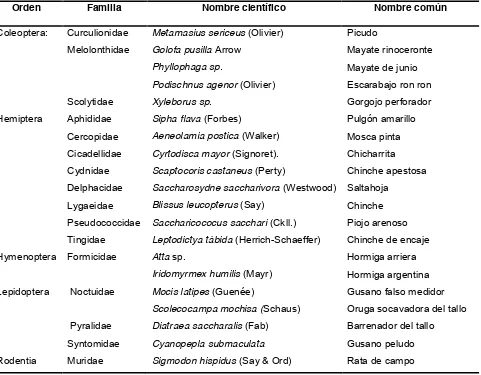 Cuadro 2. Plagas del cultivo de caña de azúcar en México (Flores 1994).  