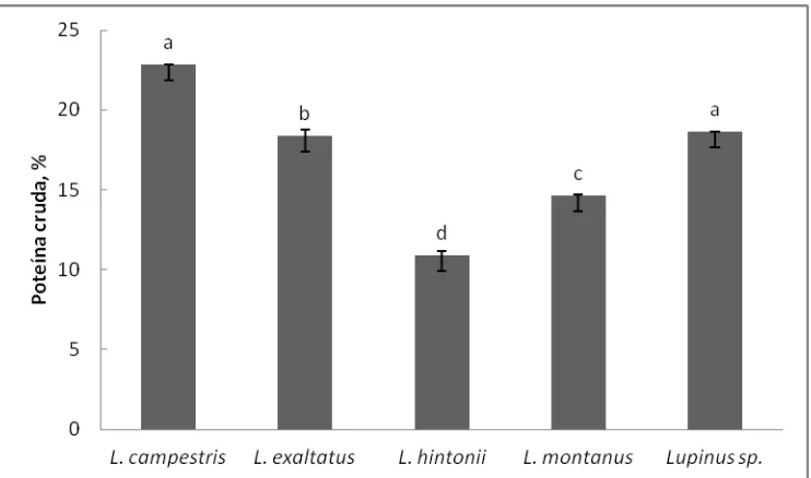 Figura 10. Contenido de proteína cruda (%) de vainas maduras de cinco especies de Lupinus