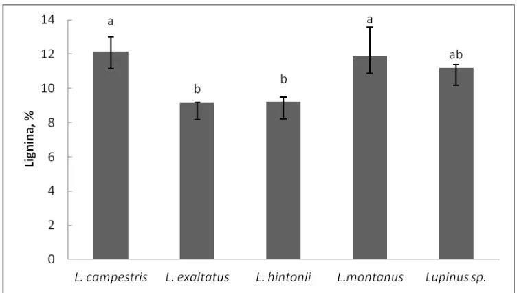 Figura 27. Contenido de lignina (%) en vainas maduras de cinco especies de Lupinus. 
