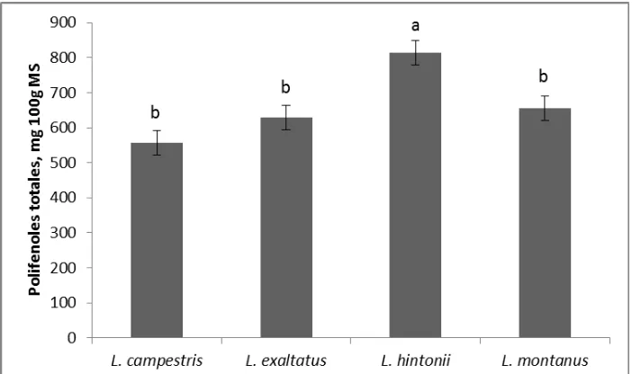 Figura 33. Contenido de polifenoles totales (mg 100g MS) en vainas maduras de Lupinus spp