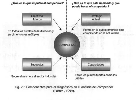 Fig. 2.5 Componentes para el diagnóstico en el análisis del competidor