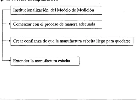 Fig. 4.1 Proceso de implantación