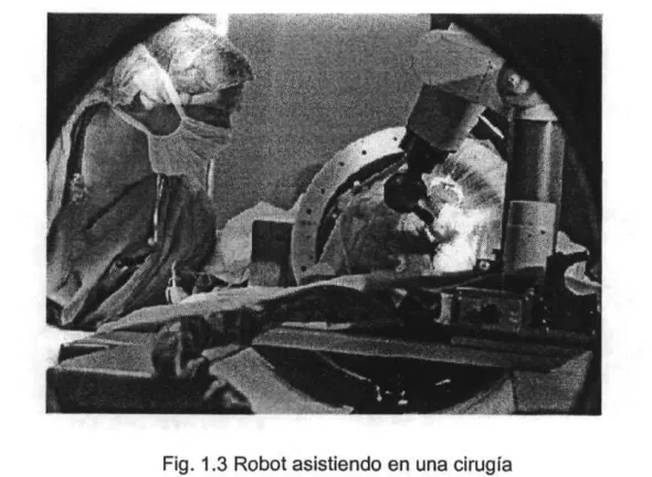 Fig. 1.4 Robot Pathfinder