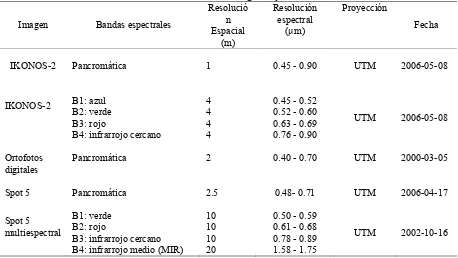 Cuadro 6. Características de las imágenes y ortofotos utilizadas 