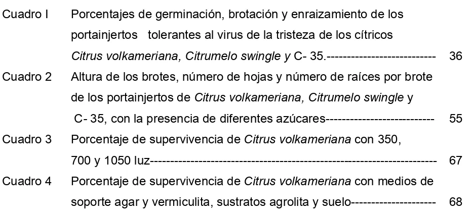 Cuadro I Porcentajes de germinación, brotación y enraizamiento de los 