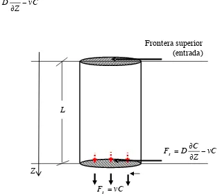 Figura 4. Esquema de la condicion de frontera inferior en la columna de suelo.