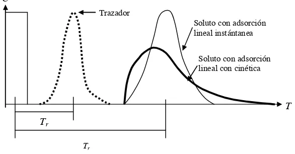 Figura 6. Curvas de elusión obtenidas para un soluto con adsorción lineal reversible. El balance de masa