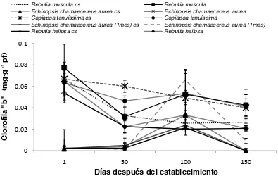 Figura 4.8. Efecto del nivel de radiación y especies sobre el contenido de clorofila “b” del tallo principal, Montecillos, México, 2006