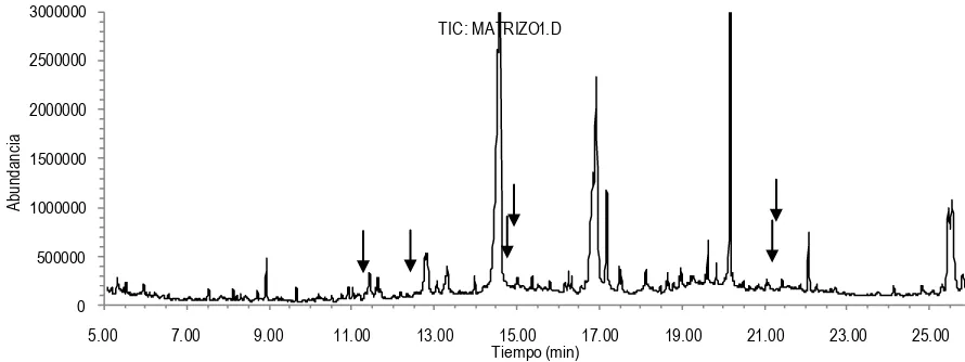 Figura 4. Cromatograma de iones totales de un blanco de extracto de tuna. 