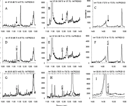 Figura 7. Cromatogramas de iones extraídos en muestras de tuna. Blancos  de matriz (A, B y C); Tiempo (min) iones de cuantificación de dimetoato, diazinón y malatión, respectivamente, en una muestra de tuna adicionada con los plaguicidas (D, E y F); iones 