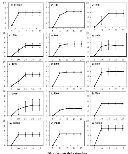 Figura 4.1. Número de semillas de Casuarina equisetifolia germinadas en suelo contaminado con 15 