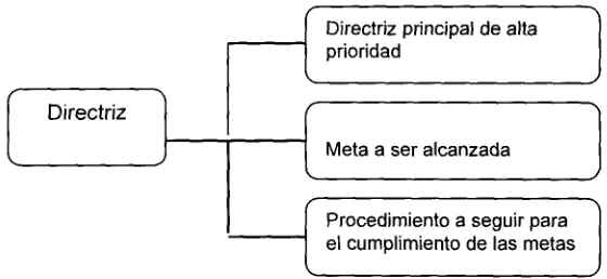 Figura 9 Componentes de una directriz (Miyauchi, 1989)