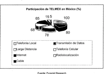 Figura 2.4: Participación de TELMEX en México 