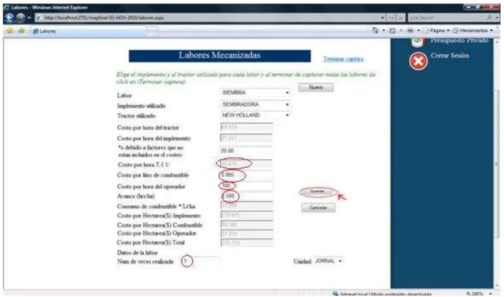 Figura 31. Siembra 