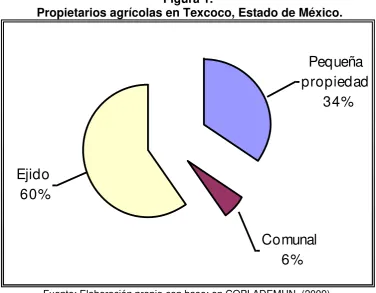 Figura 1.  Propietarios agrícolas en Texcoco, Estado de México. 
