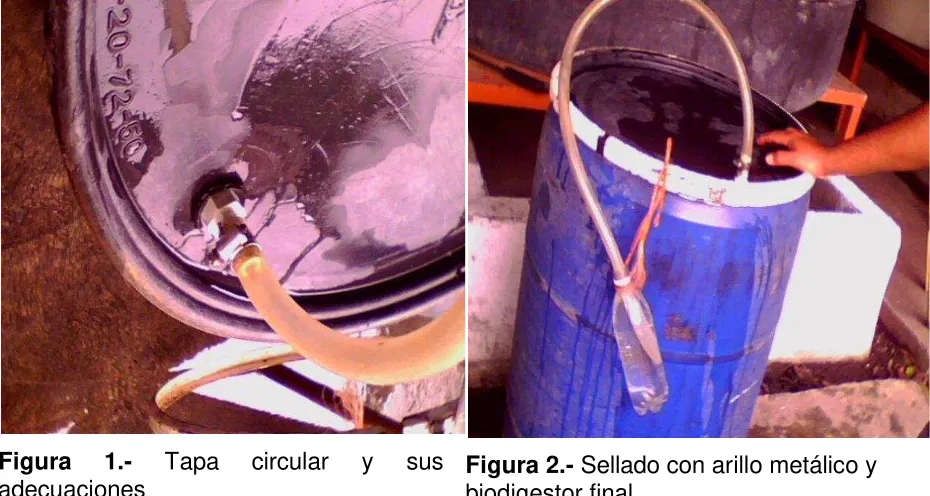 Figura 1.- 