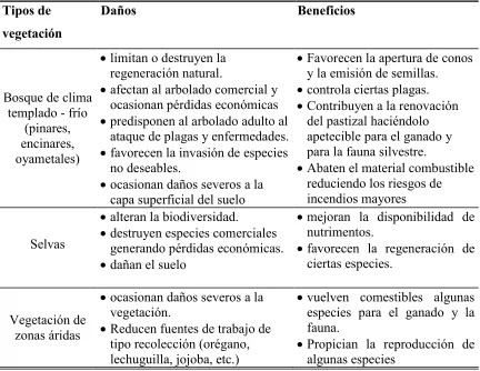 Cuadro 2.3.- Efectos de los incendios forestales (SARH, 1994) 