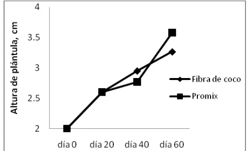 Figura 6. Altura de brotes de L. anceps establecidos en medios de cultivo: fibra de coco (T3) y Promix (T4) 60 ddt