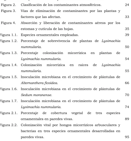 Figura 1. 